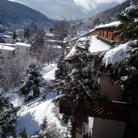 Apart Bergblick Oase * Bad Wildbad